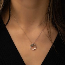 Gümüş Papatya  Gümüş Papatya