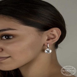 Swarovski Crystal Taşlı Gümüş Beyaz Sallantılı Kadın Küpe Swarovski Crystal Taşlı Gümüş Beyaz Sallantılı Kadın Küpe