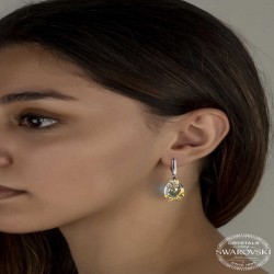 Swarovski Crystal Taşlı Gümüş Damla Sallantılı Kadın Küpe Swarovski Crystal Taşlı Gümüş Damla Sallantılı Kadın Küpe