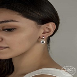 Swarovski Crystal Taşlı Gümüş Beyaz Sallantılı Kadın Küpe Swarovski Crystal Taşlı Gümüş Beyaz Sallantılı Kadın Küpe
